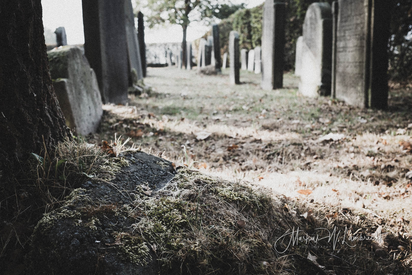 Langenschwarz, Jüdischer Friedhof